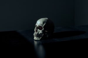 A Bone to Pick