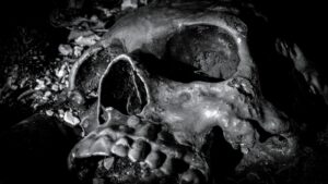 A Song of Bone and Fire