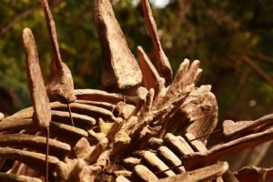 Skulls and Secrets