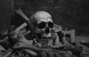 The Bone Season