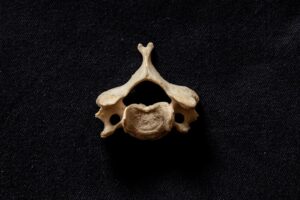 The Bone Witch