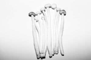 The Girl with Glass Bones