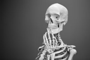 Where the Bones Lie