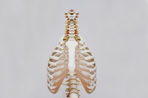 Written in Bone
